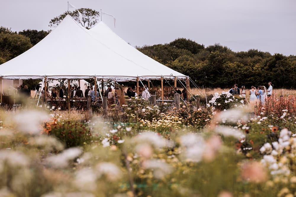 Image by <a class="text-p3" href="https://www.njphotographic.co.uk" target="_blank">Neil Jackson Photographic</a>.