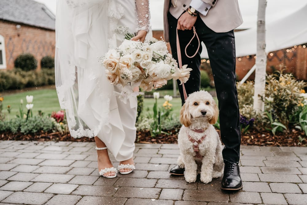 Image by <a class="text-p3" href="http://www.boyntonweddingphotography.co.uk" target="_blank">David Boynton Photography</a>.