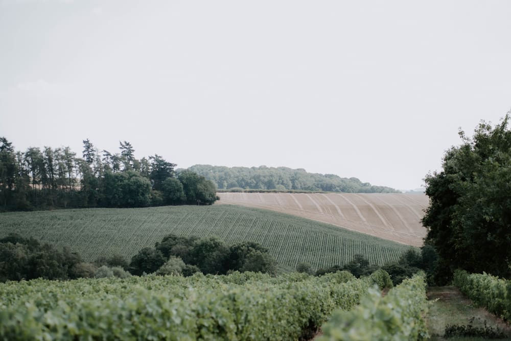 Image by <a class="text-p3" href="https://emilyjayneweddings.co.uk" target="_blank">Emily Jayne Weddings</a>.