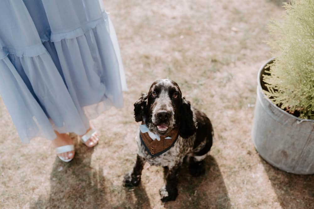 Image by <a class="text-p3" href="https://emilyjayneweddings.co.uk" target="_blank">Emily Jayne Weddings</a>.