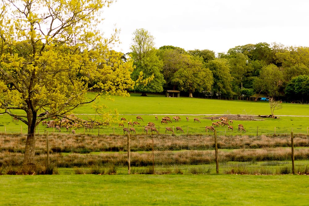 Image by <a class="text-p3" href="https://www.jessicahaymanphotography.co.uk" target="_blank">Jessica Hayman Photography</a>.