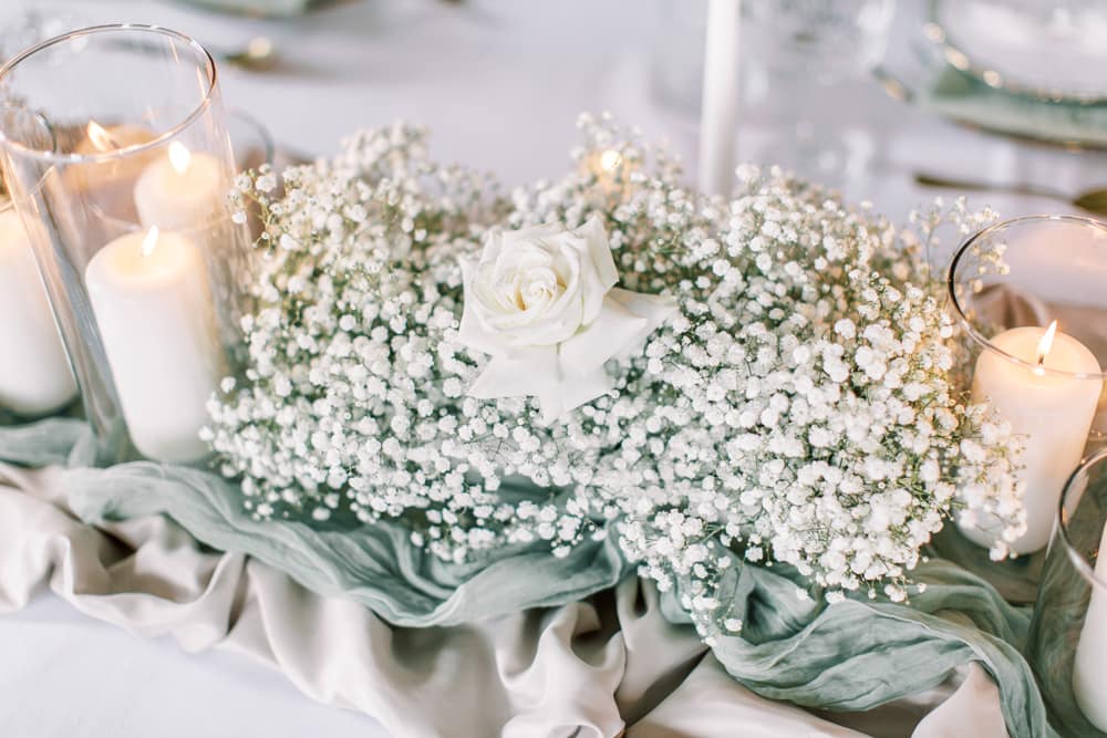 Image by <a class="text-p3" href="http://www.irisandivyphotography.com/" target="_blank">Iris & Ivy Photography</a>.