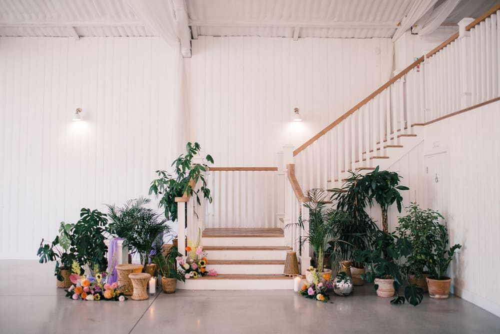 Image by <a class="text-p3" href="http://lizbakerphotography.co.uk" target="_blank">Liz Baker Photography</a>.