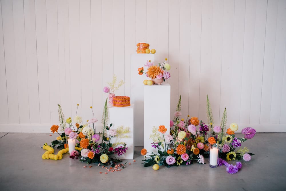 Image by <a class="text-p3" href="http://lizbakerphotography.co.uk" target="_blank">Liz Baker Photography</a>.