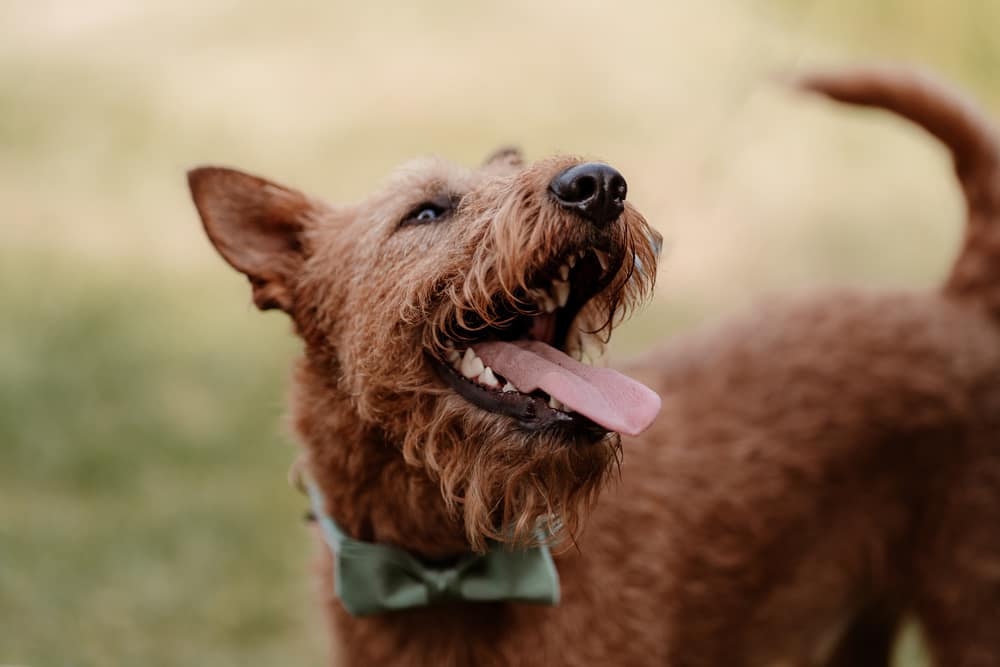 Image by <a class="text-p3" href="https://www.katherineandhercamera.com" target="_blank">Katherine and her Camera</a>.