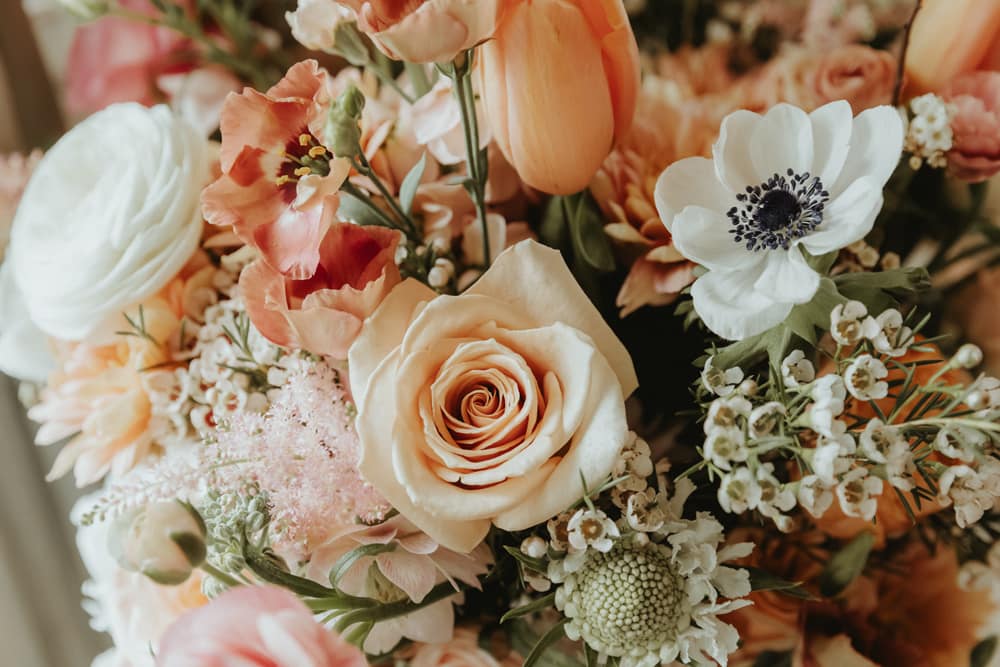 Image by <a class="text-p3" href="https://www.chelseyphotography.co.uk" target="_blank">Chelsey Photography</a>.