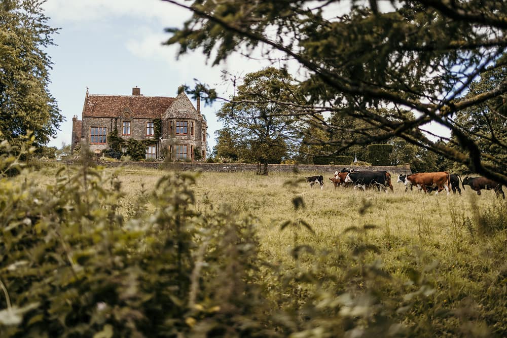 Image by <a class="text-p3" href="https://www.rockrosephotography.co.uk" target="_blank">Rockrose Photography</a>.