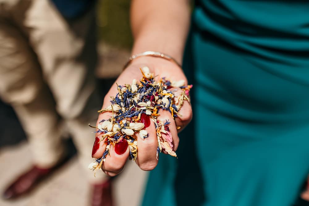 Image by <a class="text-p3" href="https://www.rockrosephotography.co.uk" target="_blank">Rockrose Photography</a>.