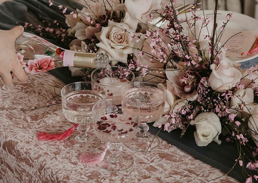 Image by <a class="text-p3" href="https://www.paigehargreaves.com" target="_blank">Paige Hargreaves Photography</a>.