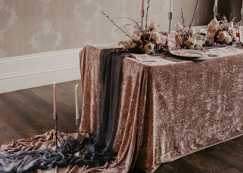 Image by <a class="text-p3" href="https://www.paigehargreaves.com" target="_blank">Paige Hargreaves Photography</a>.