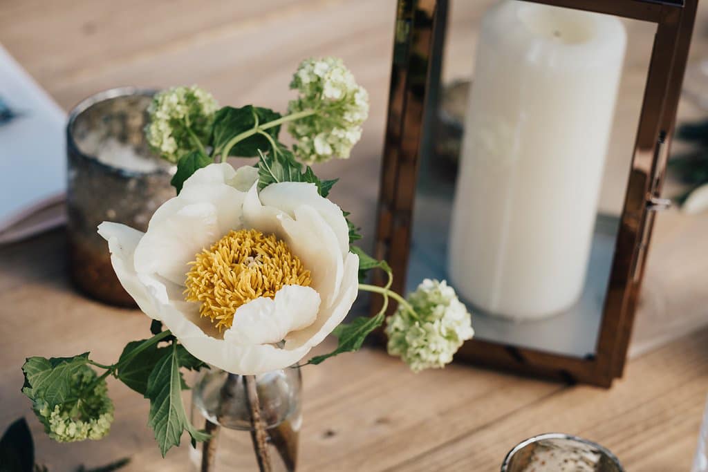 Image by <a class="text-p3" href="https://www.dalestephensphotography.com" target="_blank">Dale Stephens Photography</a>.