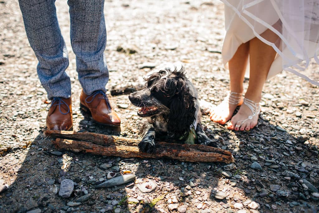 Image by <a class="text-p3" href="http://www.frecklephotography.co.uk" target="_blank">Freckle Photography</a>.