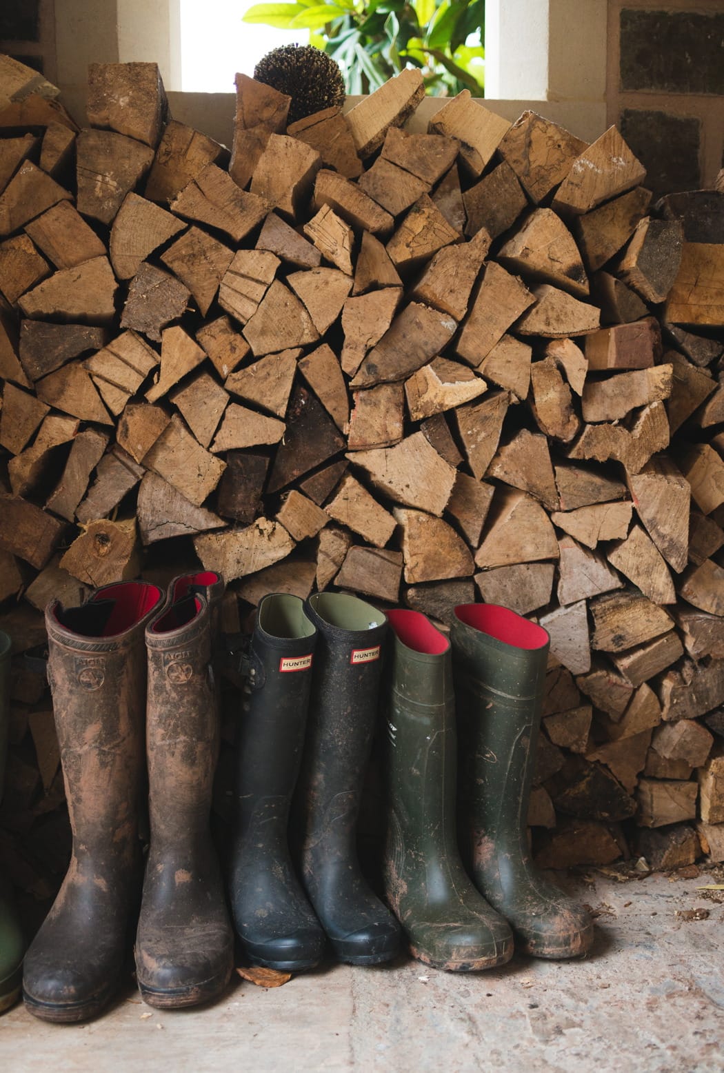 Image courtesy of Paschoe House.