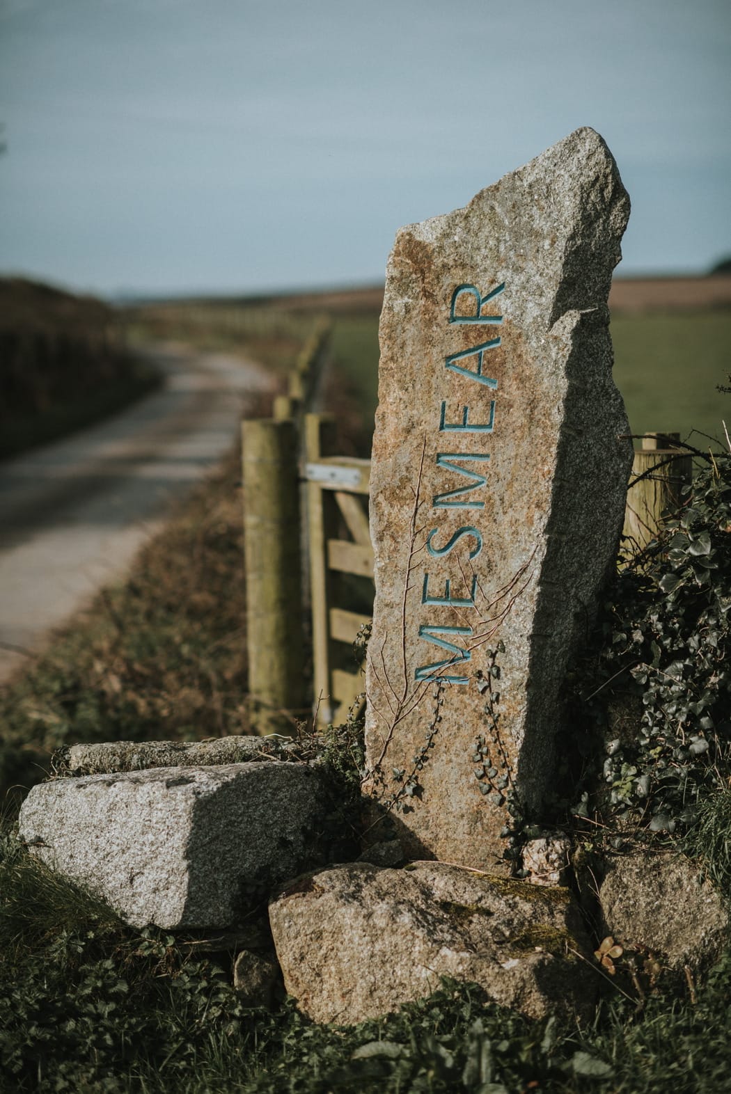 Image by <a class="text-p3" href="http://nickwphotography.com" target="_blank">Nick Walker Photography</a>.