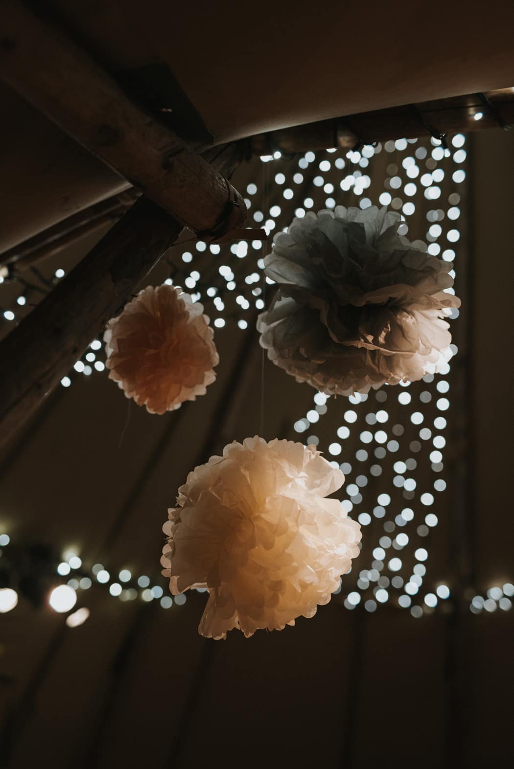 Image by <a class="text-p3" href="http://nickwphotography.com" target="_blank">Nick Walker Photography</a>.