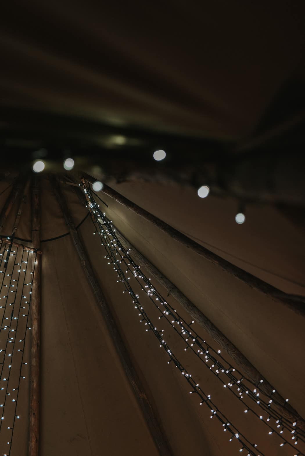 Image by <a class="text-p3" href="http://nickwphotography.com" target="_blank">Nick Walker Photography</a>.