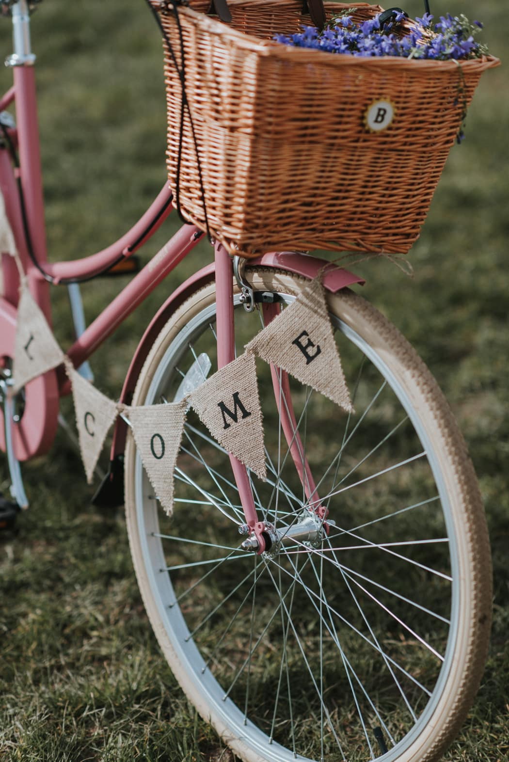 Image by <a class="text-p3" href="http://nickwphotography.com" target="_blank">Nick Walker Photography</a>.