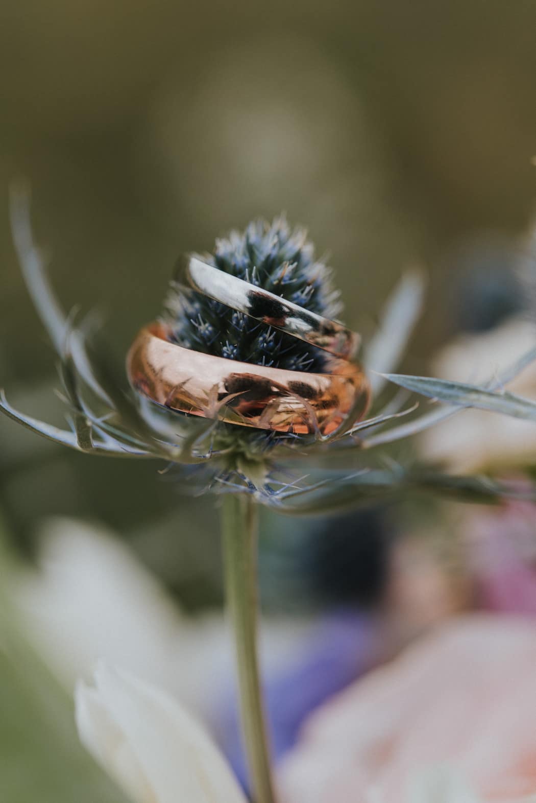 Image by <a class="text-p3" href="http://nickwphotography.com" target="_blank">Nick Walker Photography</a>.