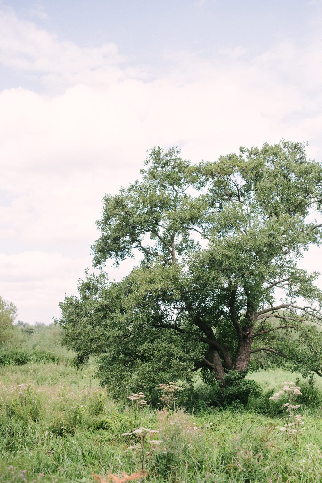 Image by <a class="text-p3" href="http://www.hannahduffy.com" target="_blank">Hannah Duffy Photography</a>.