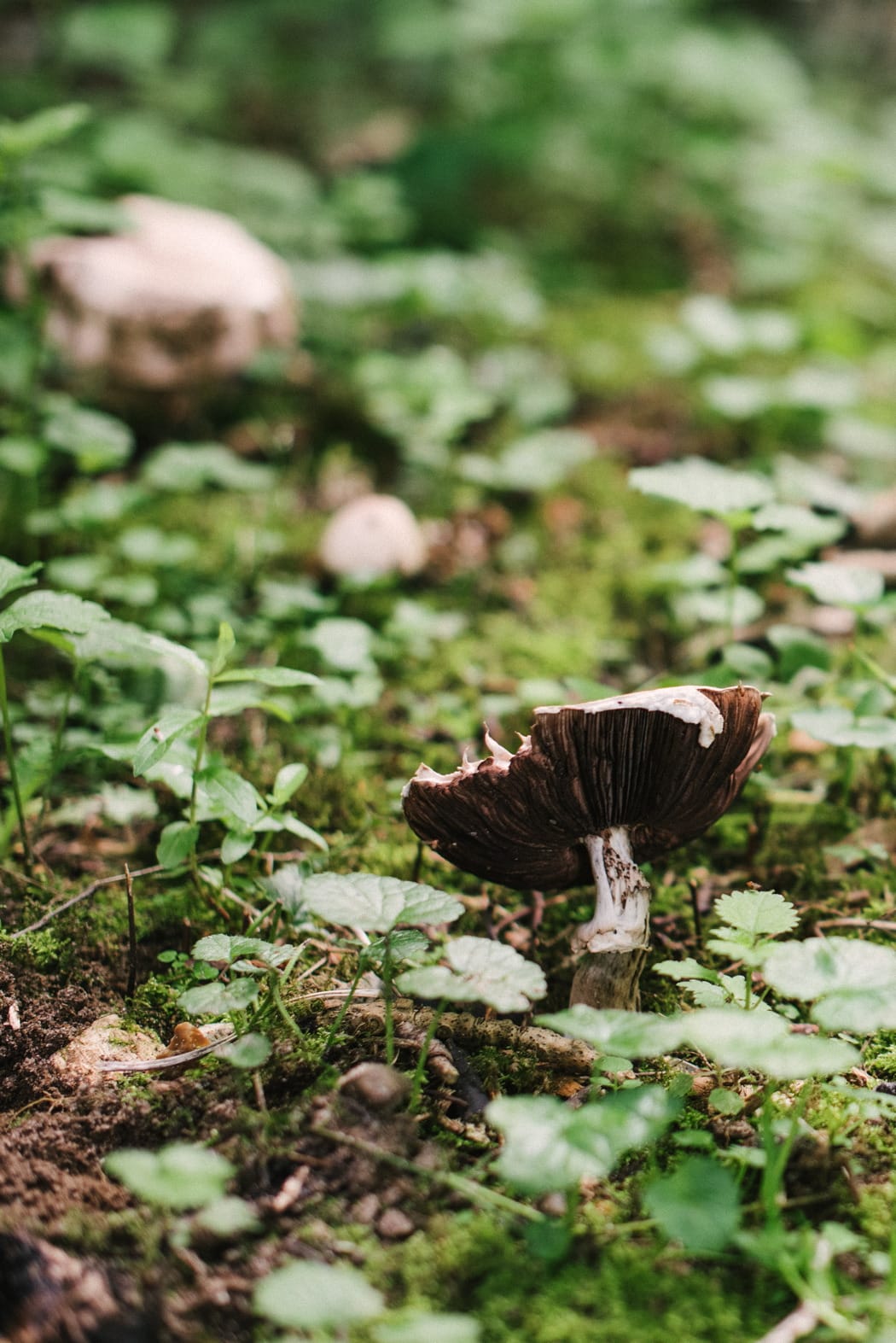 Image by <a class="text-p3" href="http://www.hannahduffy.com" target="_blank">Hannah Duffy Photography</a>.