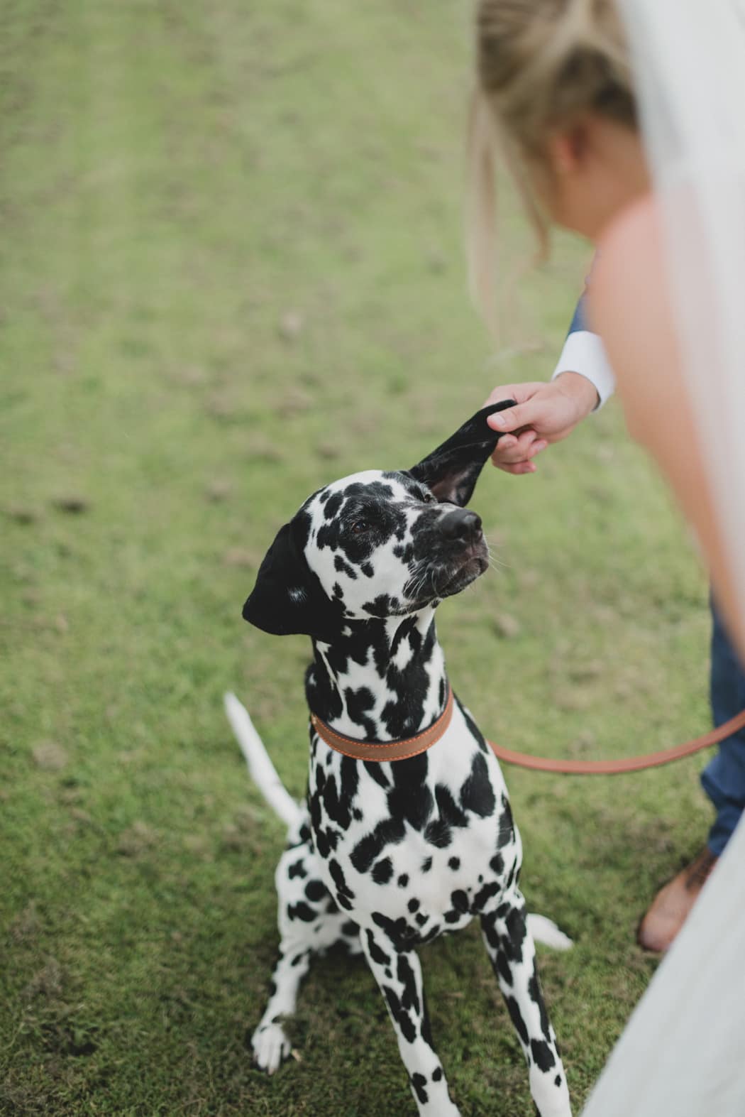 Image by <a class="text-p3" href="http://www.joshgooding.co.uk" target="_blank">Josh Gooding Photography</a>.