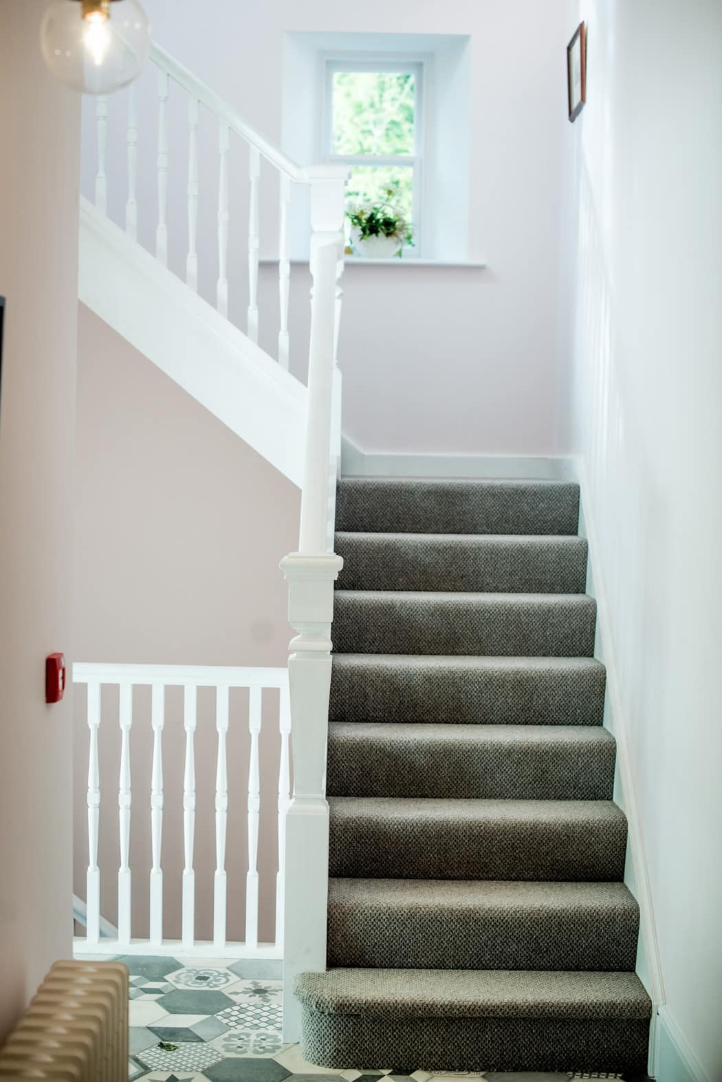 Image courtesy of Paschoe House.