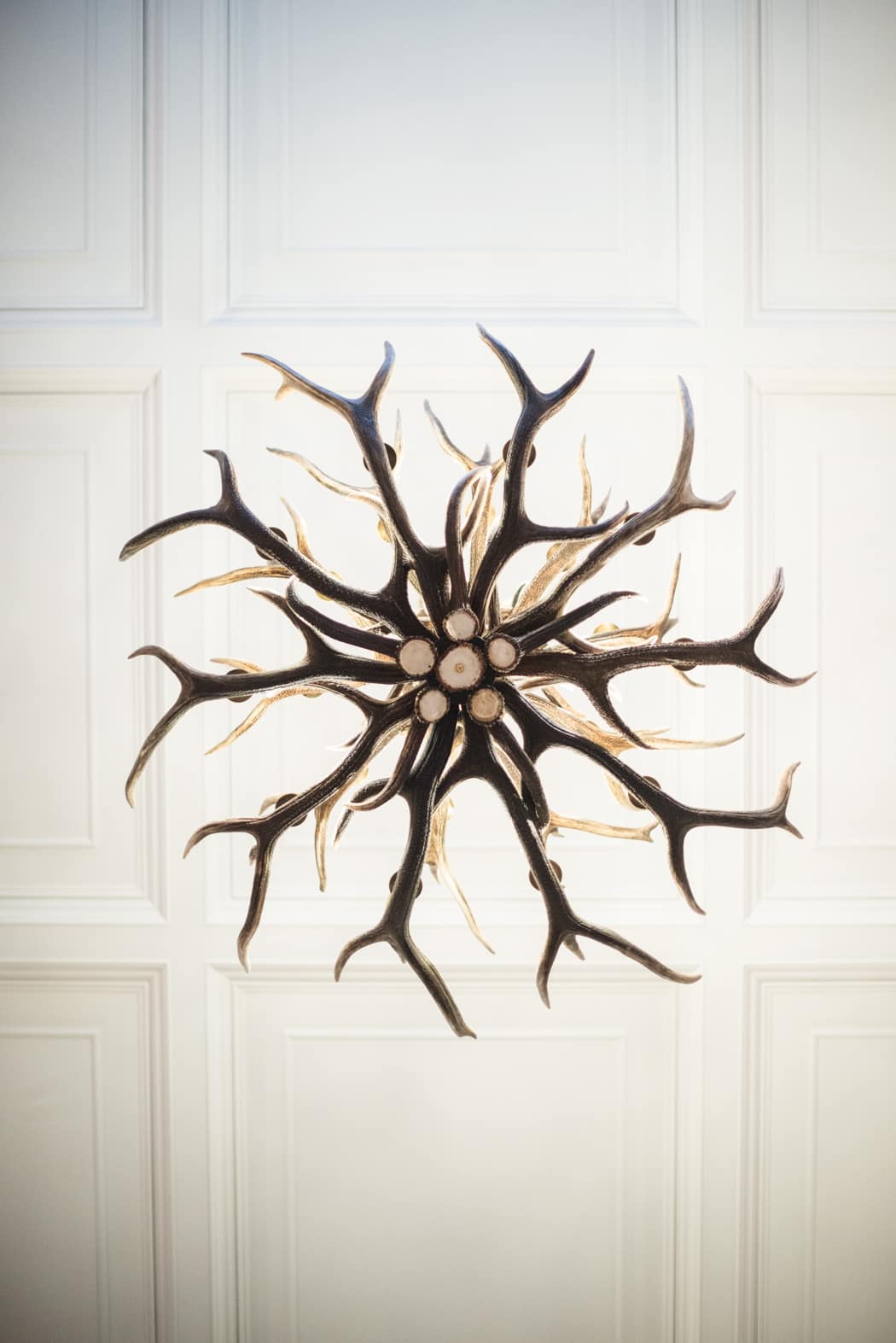 Image courtesy of Paschoe House.