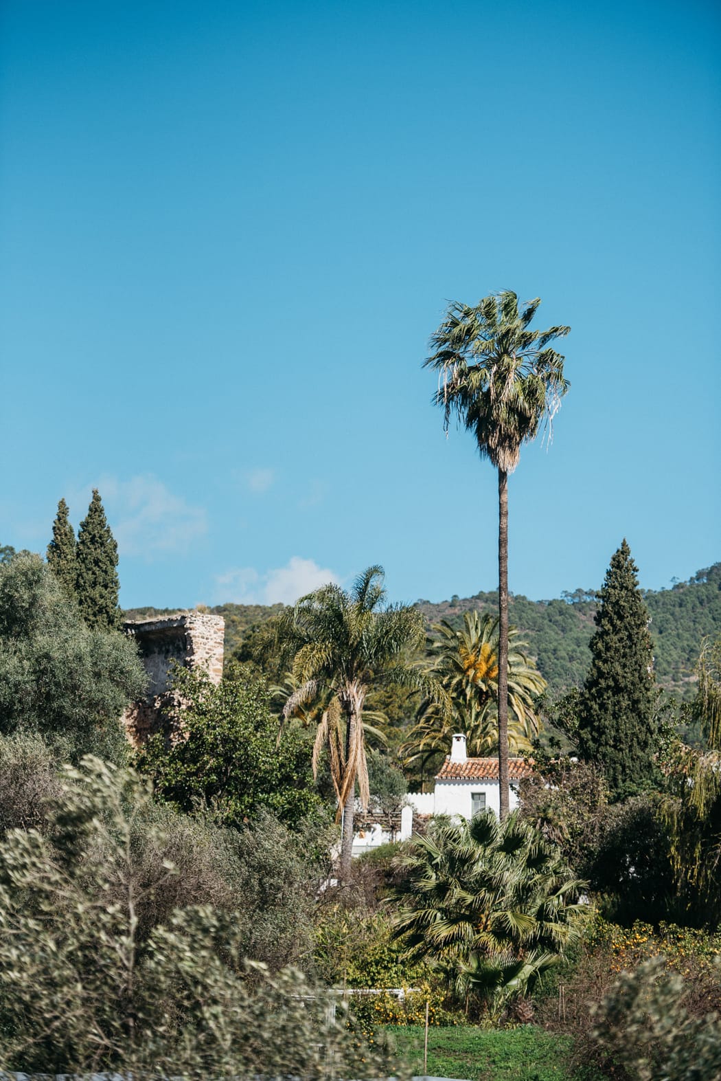 Image by <a class="text-p3" href="http://agatajensen.com" target="_blank">Agata Jensen</a>.