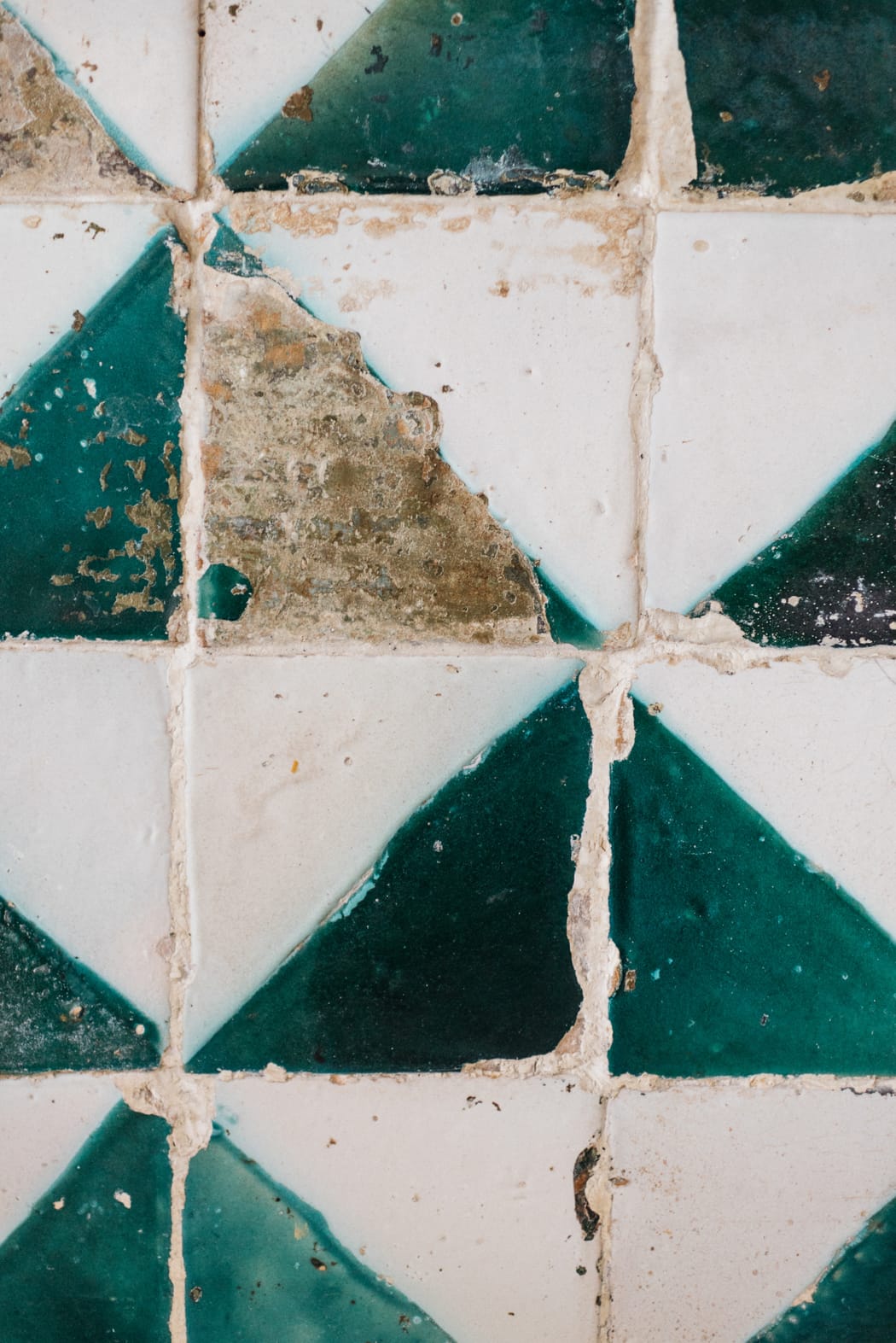 Image by <a class="text-p3" href="http://agatajensen.com" target="_blank">Agata Jensen</a>.