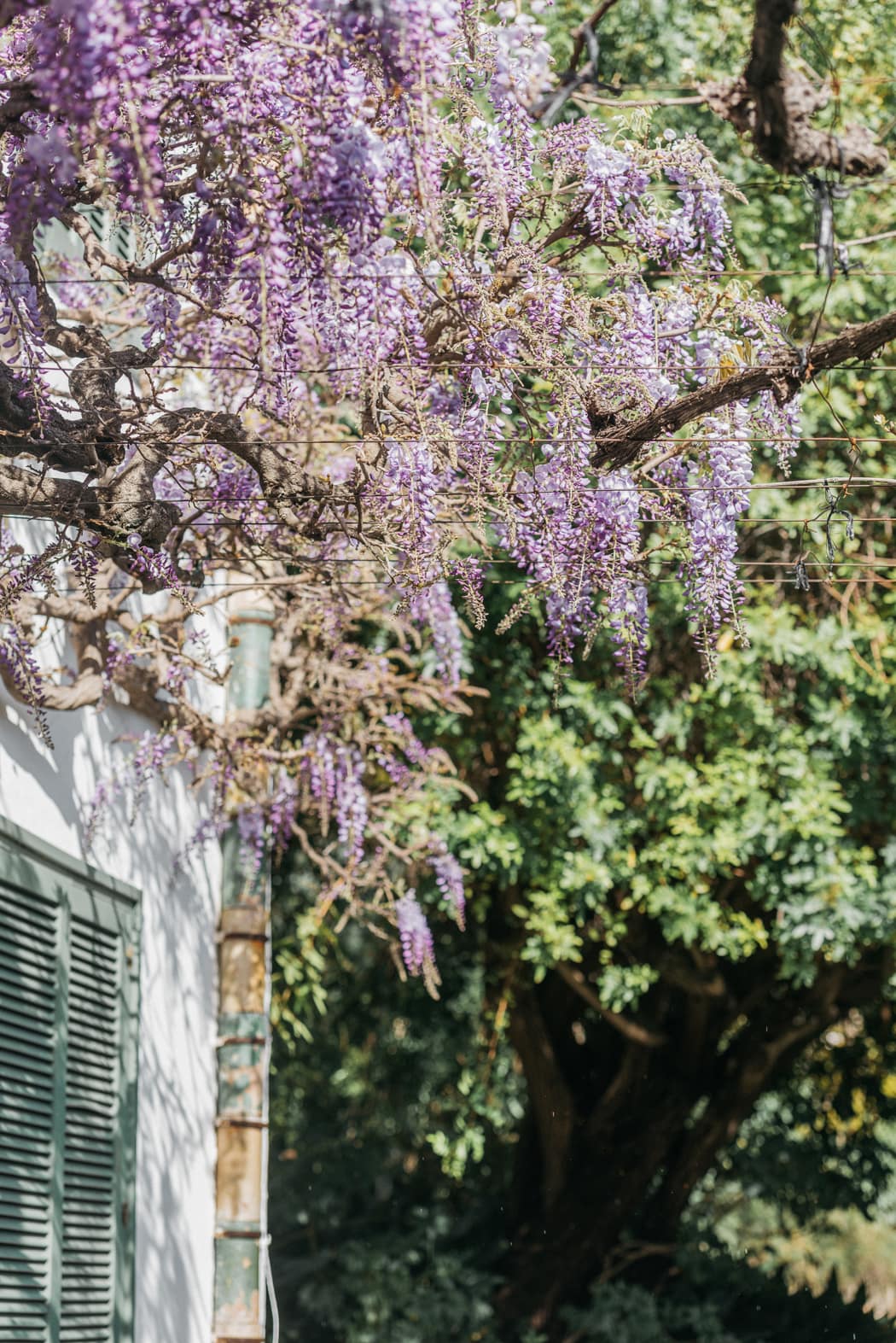 Image by <a class="text-p3" href="http://agatajensen.com" target="_blank">Agata Jensen</a>.