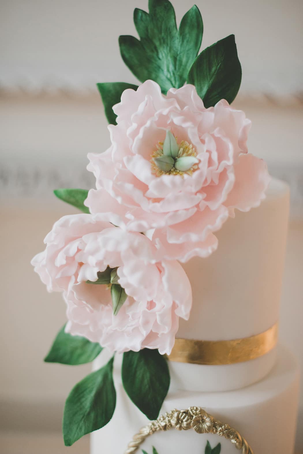 Image by <a class="text-p3" href="http://www.joshgooding.co.uk" target="_blank">Josh Gooding Photography</a>.