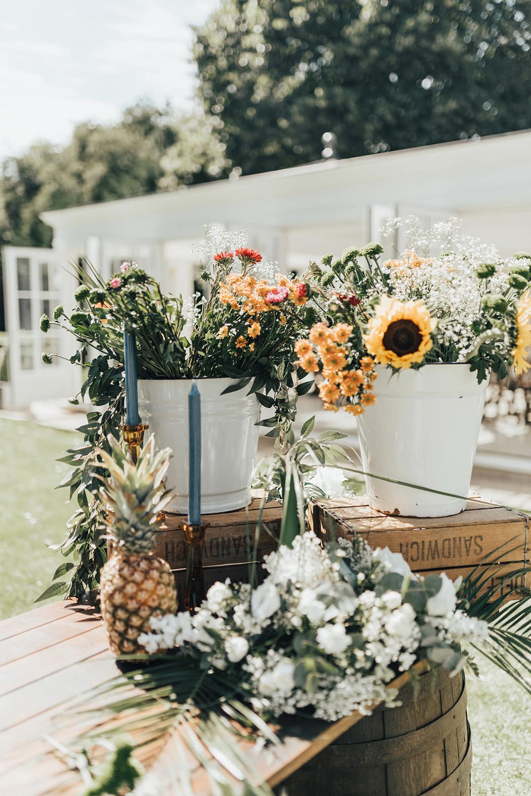 Image by <a class="text-p3" href="https://rebeccacarpenterphotography.com" target="_blank">Rebecca Carpenter Photography</a>.