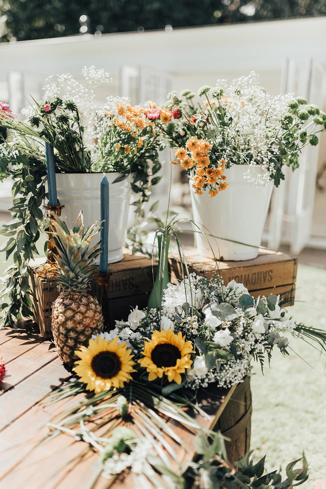 Image by <a class="text-p3" href="https://rebeccacarpenterphotography.com" target="_blank">Rebecca Carpenter Photography</a>.