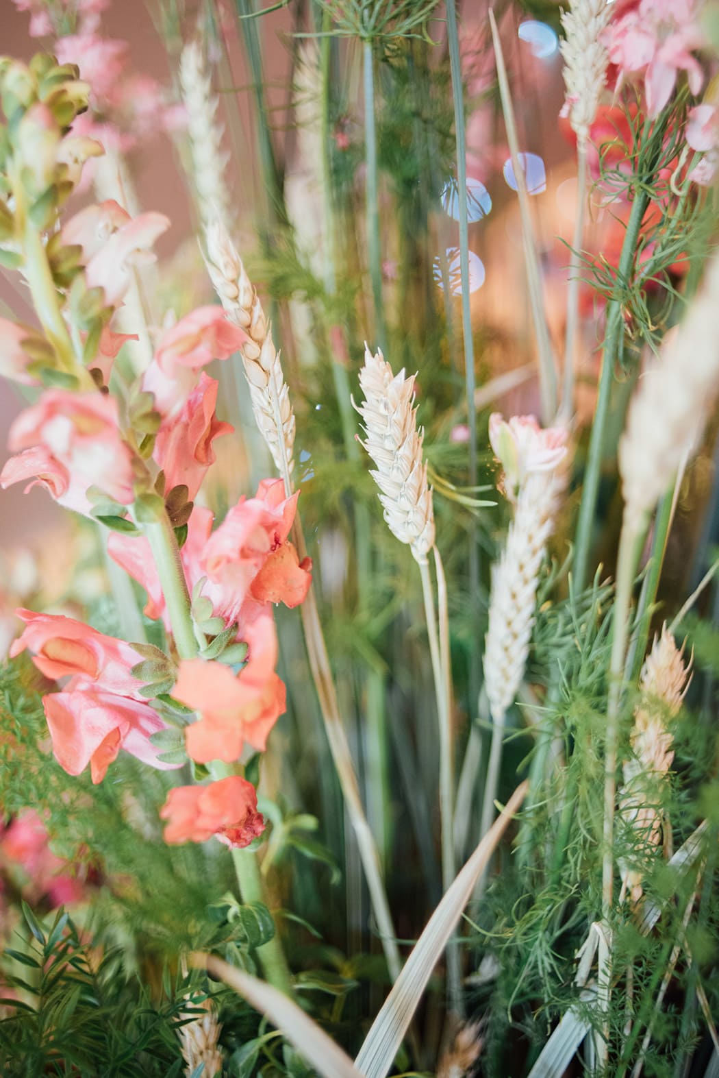 Image by <a class="text-p3" href="http://libertypearlphotography.com" target="_blank">Liberty Pearl Photography</a>.