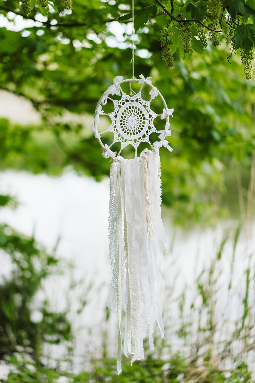 Image by <a class="text-p3" href="http://www.angelawardbrown.com" target="_blank">Angela Ward Brown Photography</a>.