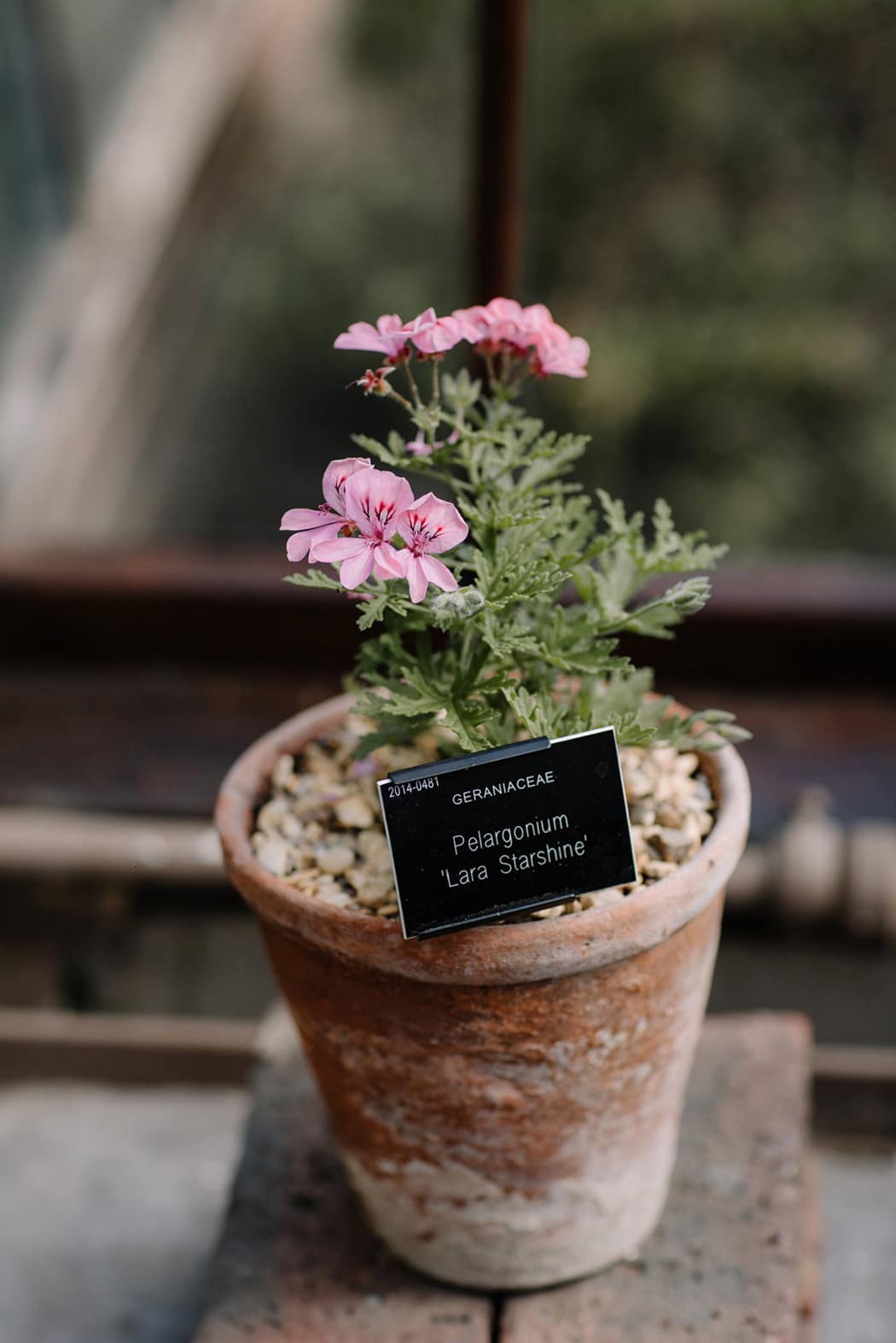 Image by <a class="text-p3" href="http://www.rebeccagoddardphotography.com" target="_blank">Rebecca Goddard Photography</a>.