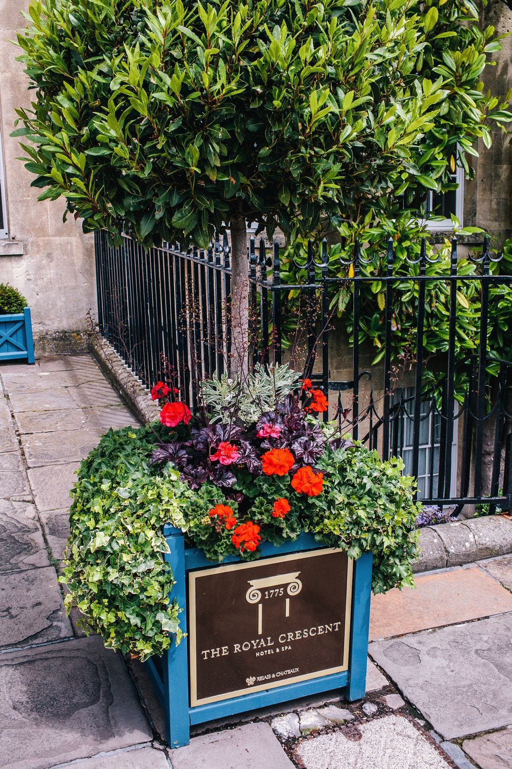 Image by <a class="text-p3" href="http://heartfulloftea.com" target="_blank">Heart Full of Tea</a>.