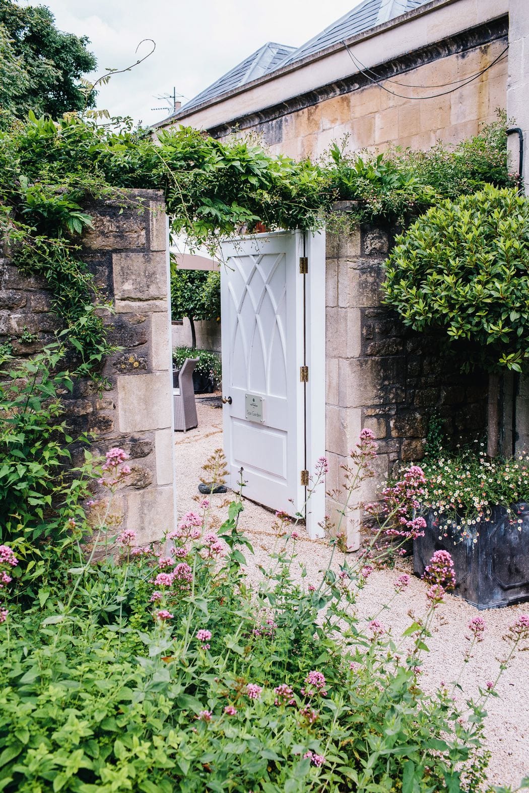 Image by <a class="text-p3" href="http://heartfulloftea.com" target="_blank">Heart Full of Tea</a>.