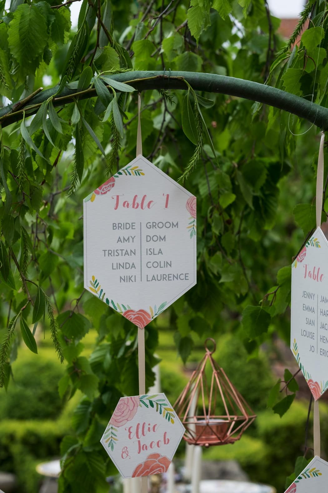 Image by <a class="text-p3" href="http://www.bigphatphotos.co.uk" target="_blank">Bigphatphotos</a>.