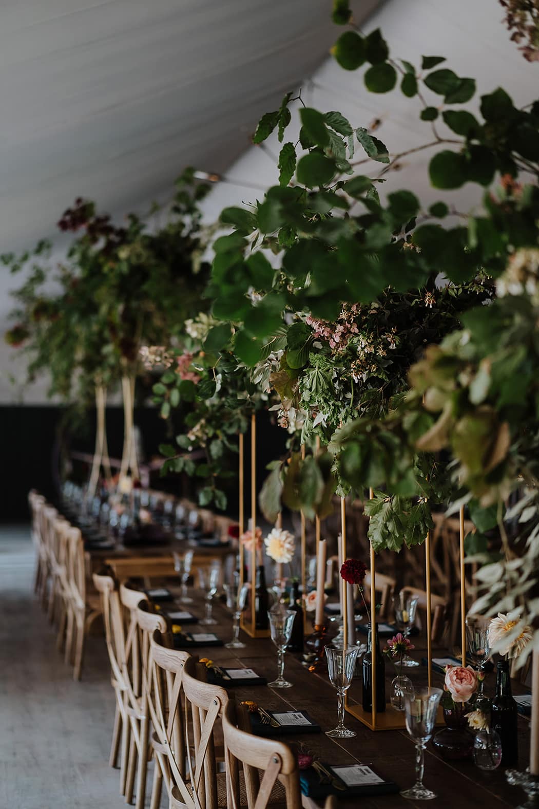 Image by <a class="text-p3" href="http://www.newforeststudio.com" target="_blank">New Forest Studio</a>.