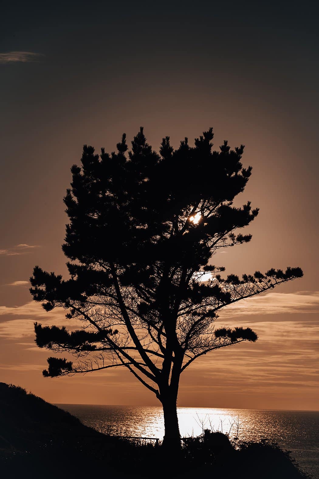 Image by <a class="text-p3" href="http://fearphotography.com" target="_blank">Fear Photography</a>.