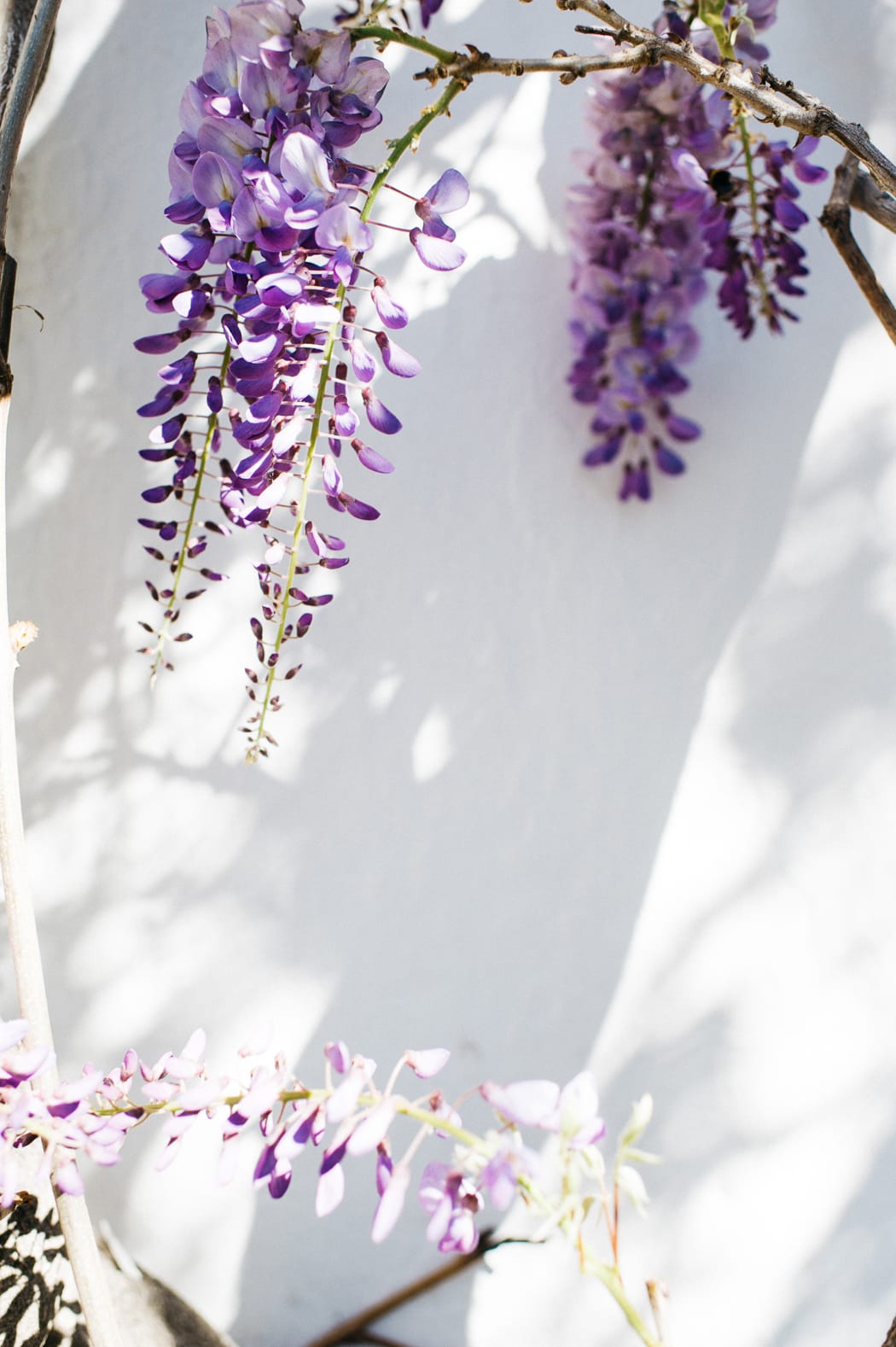 Image by <a class="text-p3" href="http://agatajensen.com" target="_blank">Agata Jensen</a>.