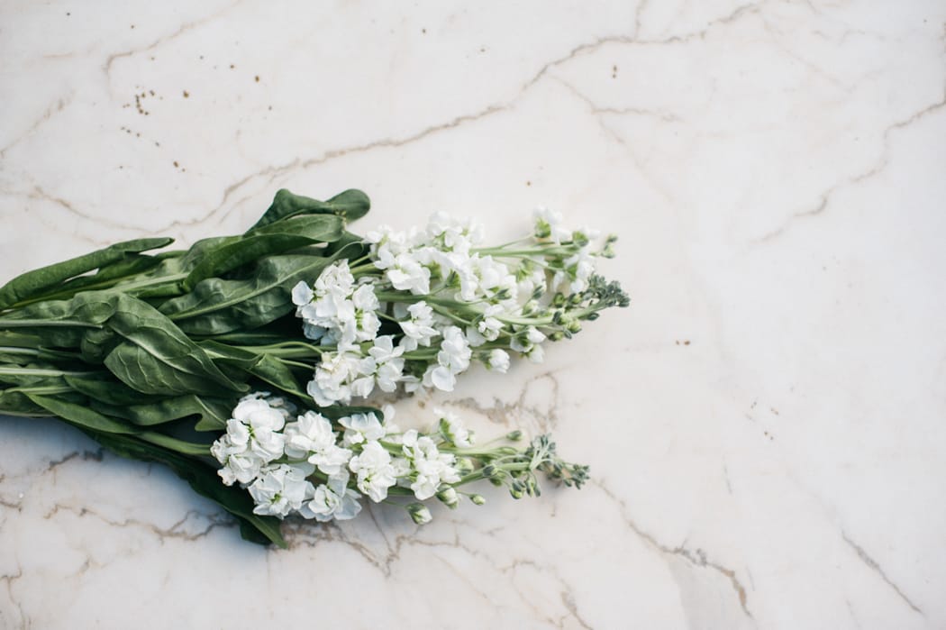 Image by <a class="text-p3" href="http://agatajensen.com" target="_blank">Agata Jensen</a>.