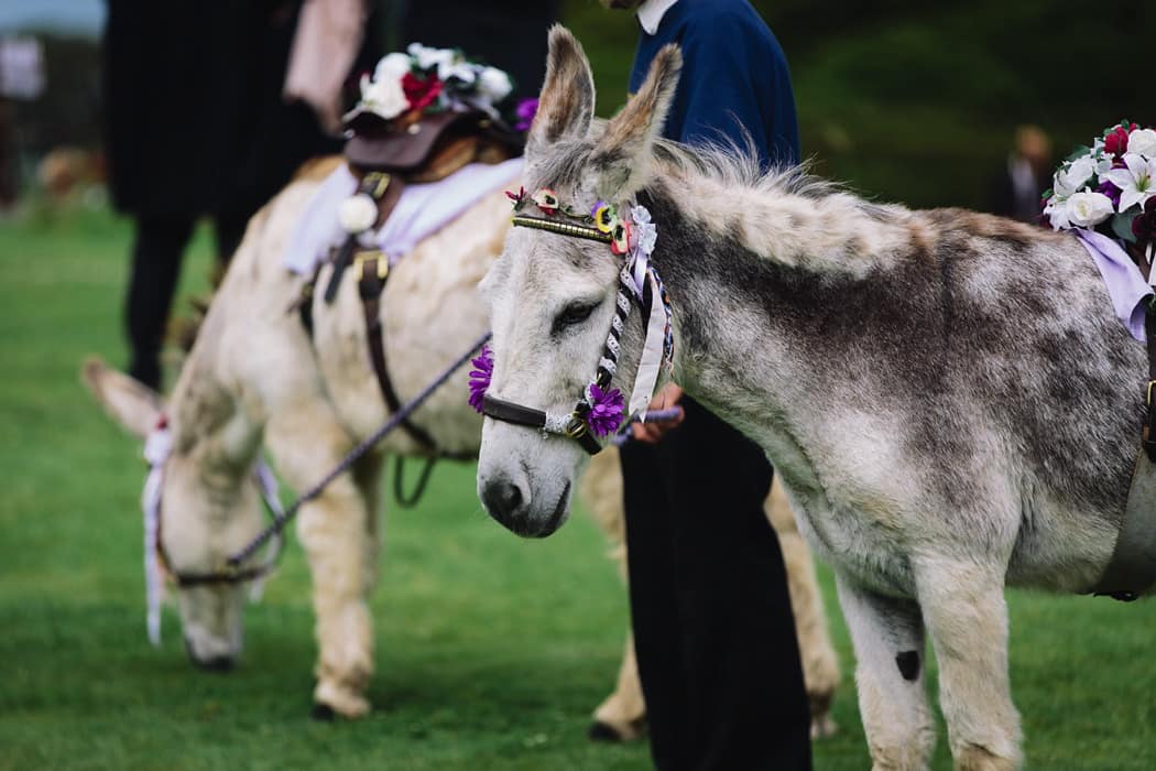 Image by <a class="text-p3" href="http://hermionemccosh.com" target="_blank">Hermione McCosh Photography</a>.