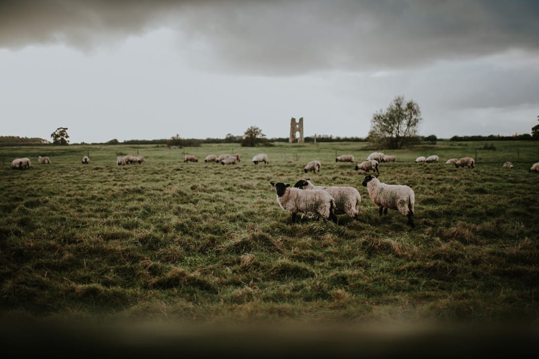 Image by <a class="text-p3" href="http://www.darinastodaphotography.co.uk" target="_blank">Darina Stoda Photography</a>.