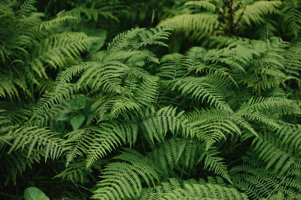 Image by <a class="text-p3" href="http://www.hannahduffy.com" target="_blank">Hannah Duffy Photography</a>.