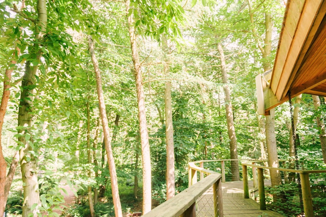 Image by <a class="text-p3" href="http://www.hannahduffy.com" target="_blank">Hannah Duffy Photography</a>.