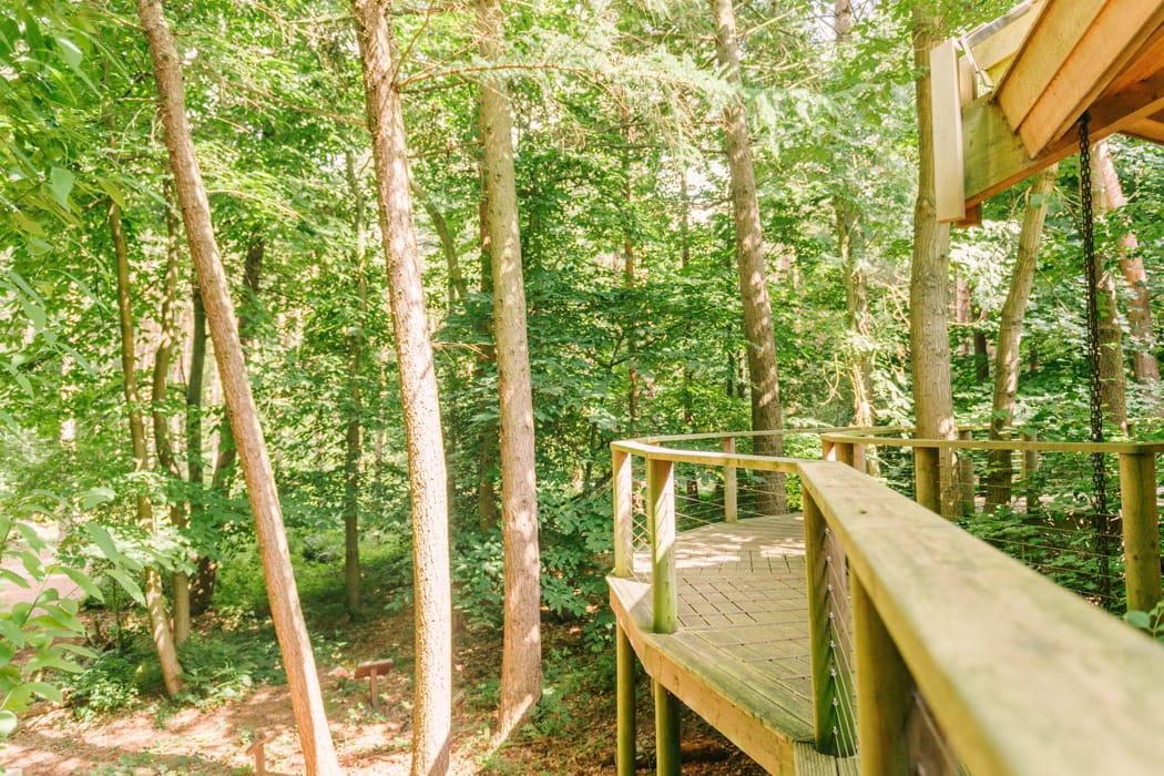 Image by <a class="text-p3" href="http://www.hannahduffy.com" target="_blank">Hannah Duffy Photography</a>.