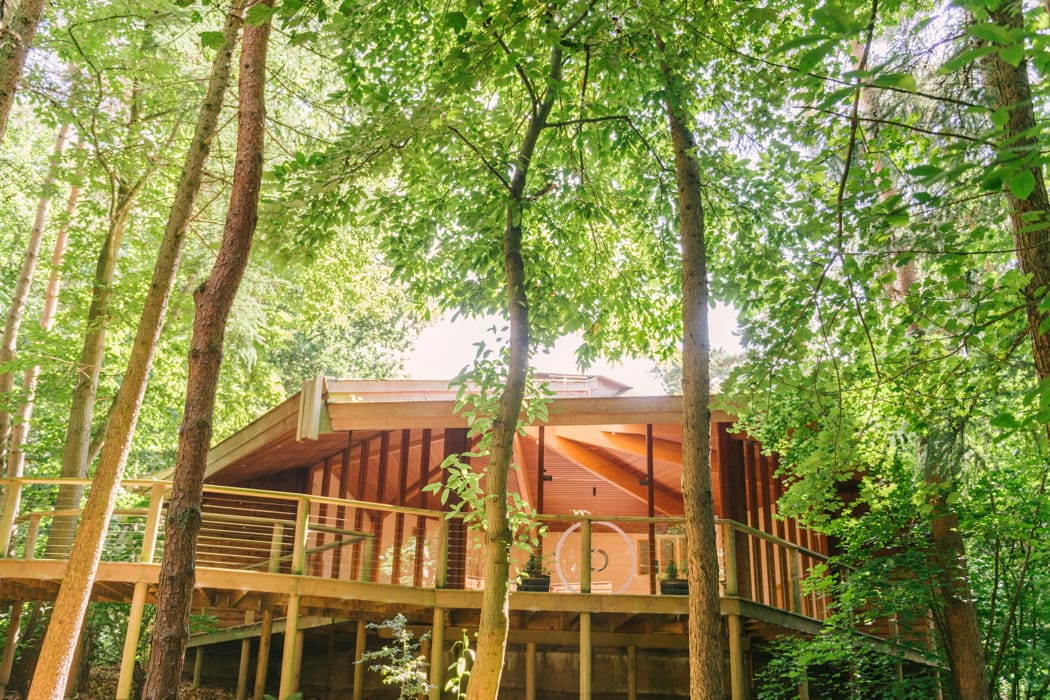 Image by <a class="text-p3" href="http://www.hannahduffy.com" target="_blank">Hannah Duffy Photography</a>.