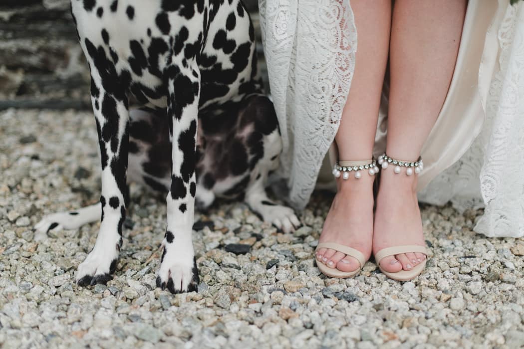 Image by <a class="text-p3" href="http://www.joshgooding.co.uk" target="_blank">Josh Gooding Photography</a>.